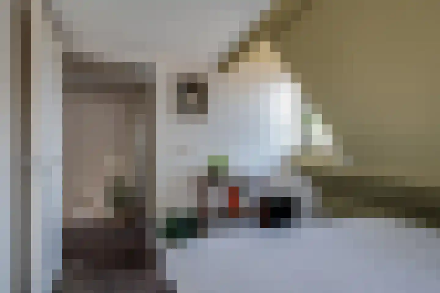 Berkenlaan 13 Zwartsluis thumbnail 39