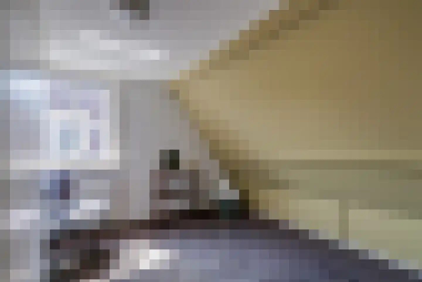 Berkenlaan 13 Zwartsluis thumbnail 40