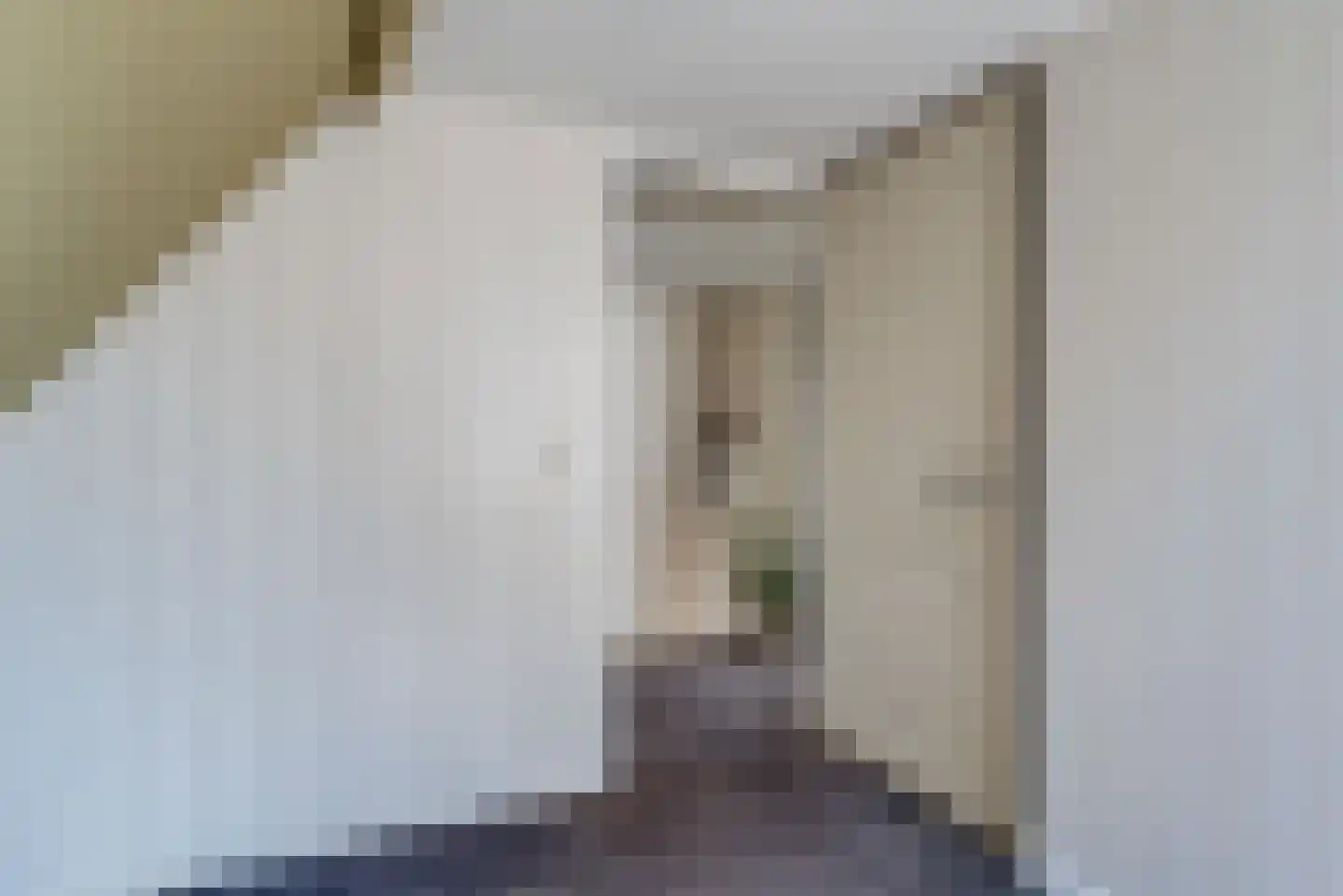 Berkenlaan 13 Zwartsluis thumbnail 41