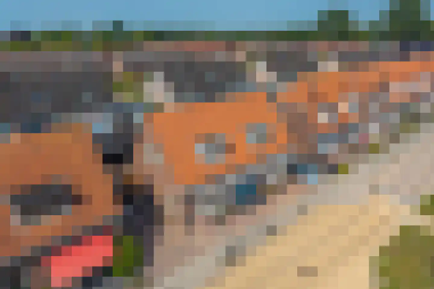 Berkenlaan 13 Zwartsluis thumbnail 46