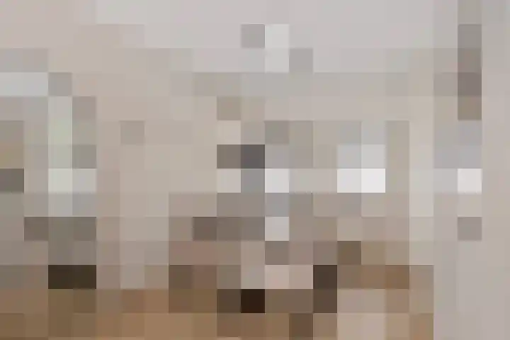 Berkenlaan 131 Zutphen thumbnail 10