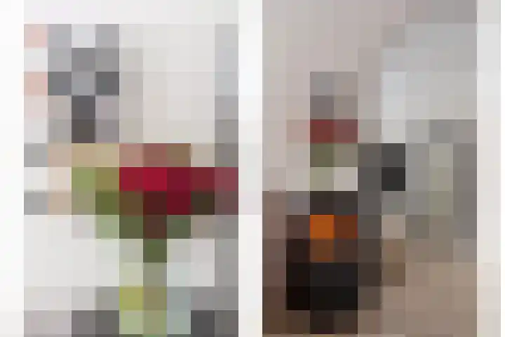 Berkenlaan 131 Zutphen thumbnail 12