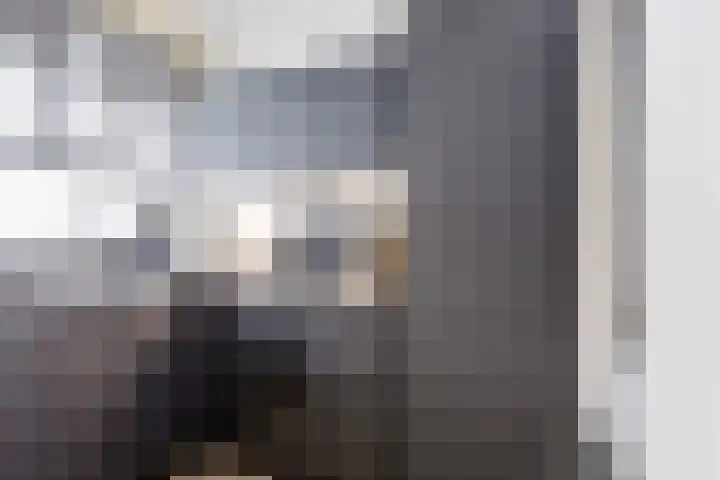 Berkenlaan 131 Zutphen thumbnail 13
