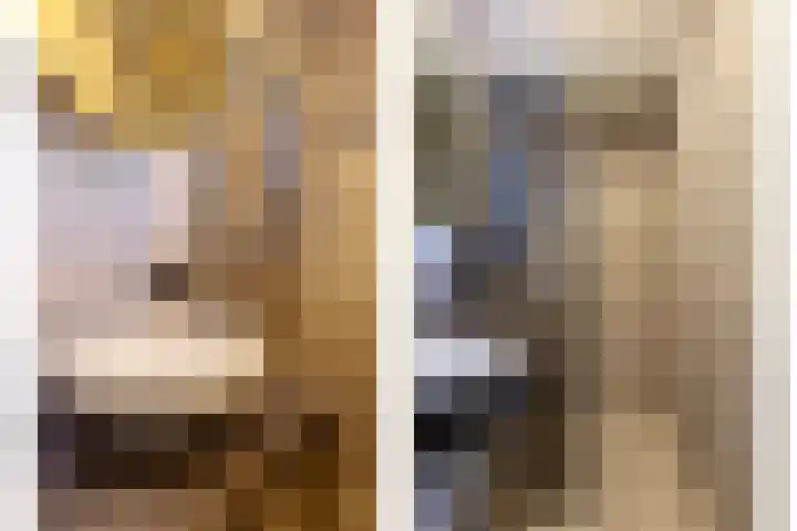 Berkenlaan 131 Zutphen thumbnail 17
