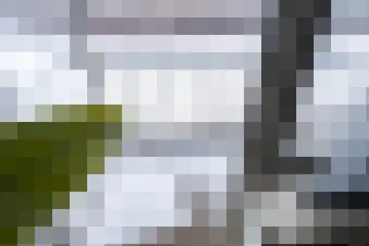 Berkenlaan 131 Zutphen thumbnail 21