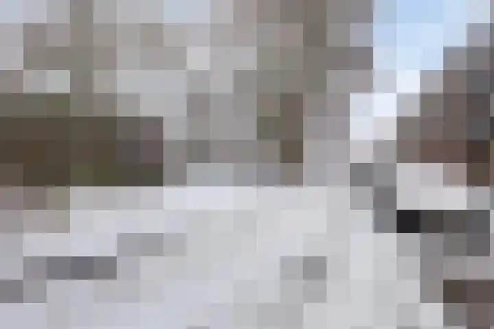 Berkenlaan 131 Zutphen thumbnail 25
