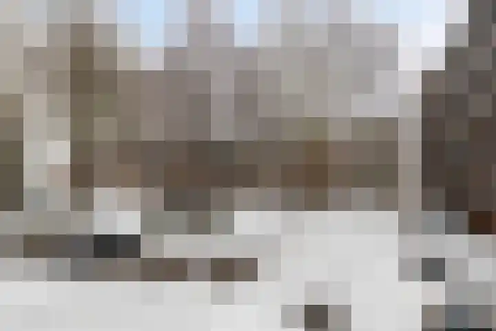 Berkenlaan 131 Zutphen thumbnail 26
