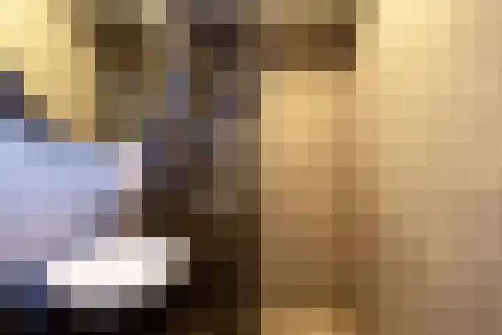 Berkenlaan 131 Zutphen thumbnail 4
