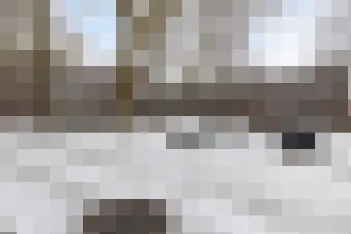 Berkenlaan 131 Zutphen thumbnail 5