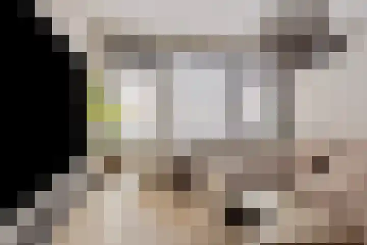 Berkenlaan 131 Zutphen thumbnail 8