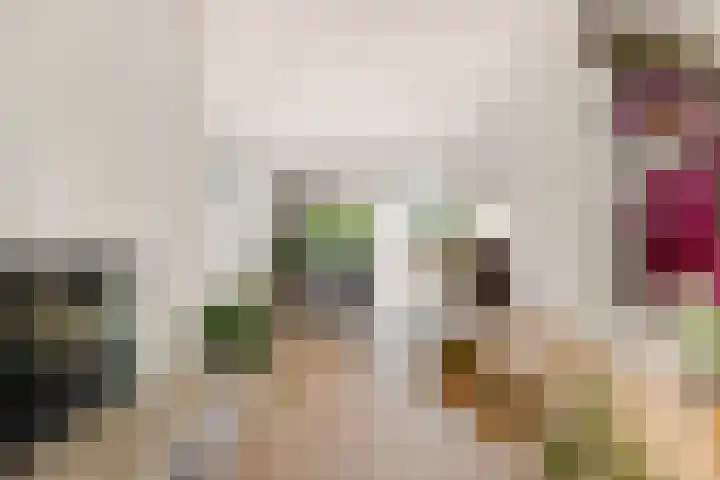 Berkenlaan 14 Beverwijk thumbnail 11