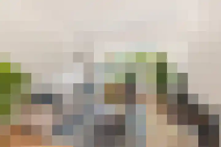 Berkenlaan 14 Beverwijk thumbnail 12