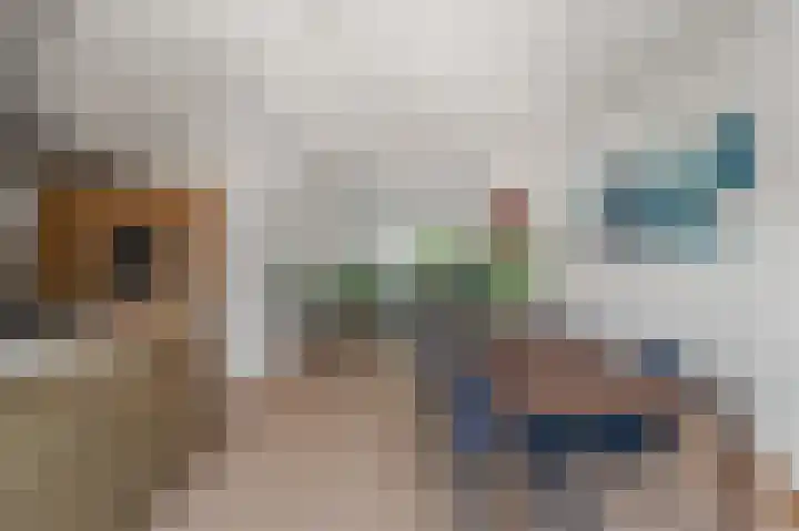 Berkenlaan 14 Beverwijk thumbnail 17