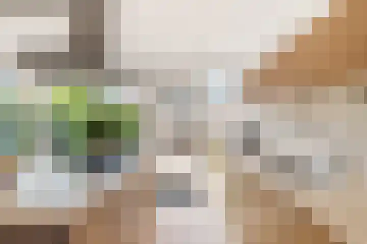 Berkenlaan 14 Beverwijk thumbnail 23