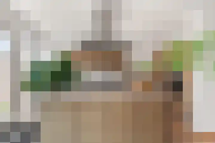 Berkenlaan 14 Beverwijk thumbnail 4