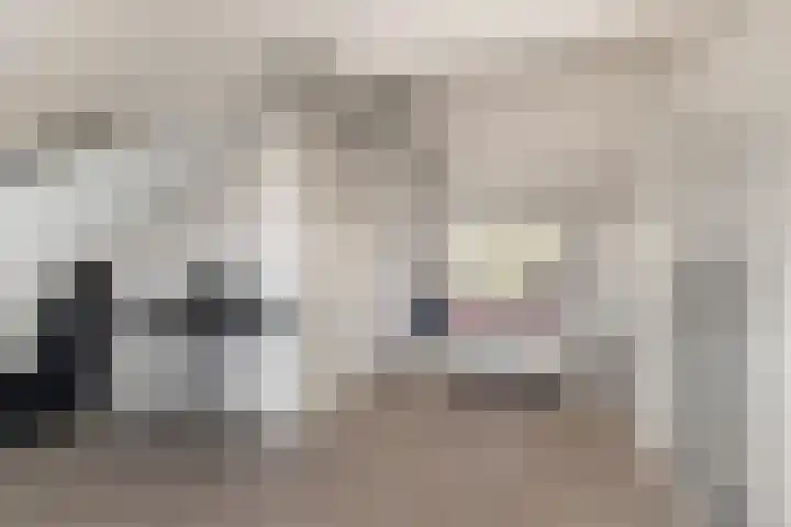 Berkenlaan 14 Beverwijk thumbnail 41