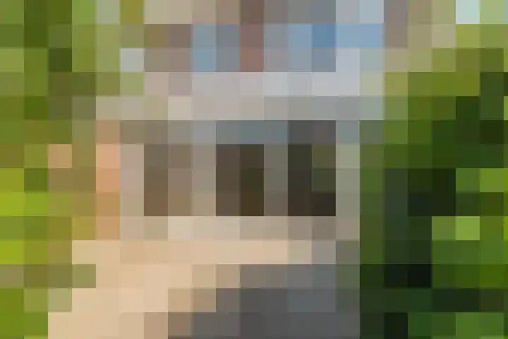 Berkenlaan 14 Beverwijk thumbnail 47