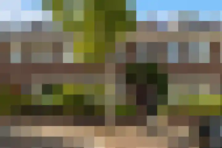 Berkenlaan 14 Beverwijk thumbnail 54