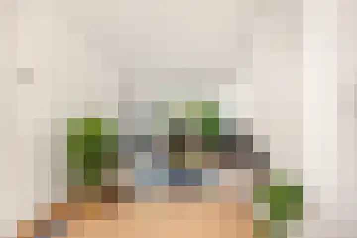 Berkenlaan 14 Beverwijk thumbnail 9