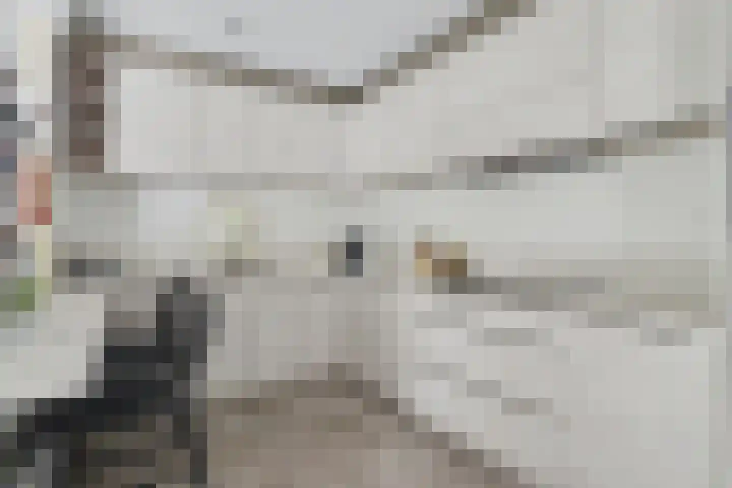Berkenlaan 14 Putte thumbnail 12