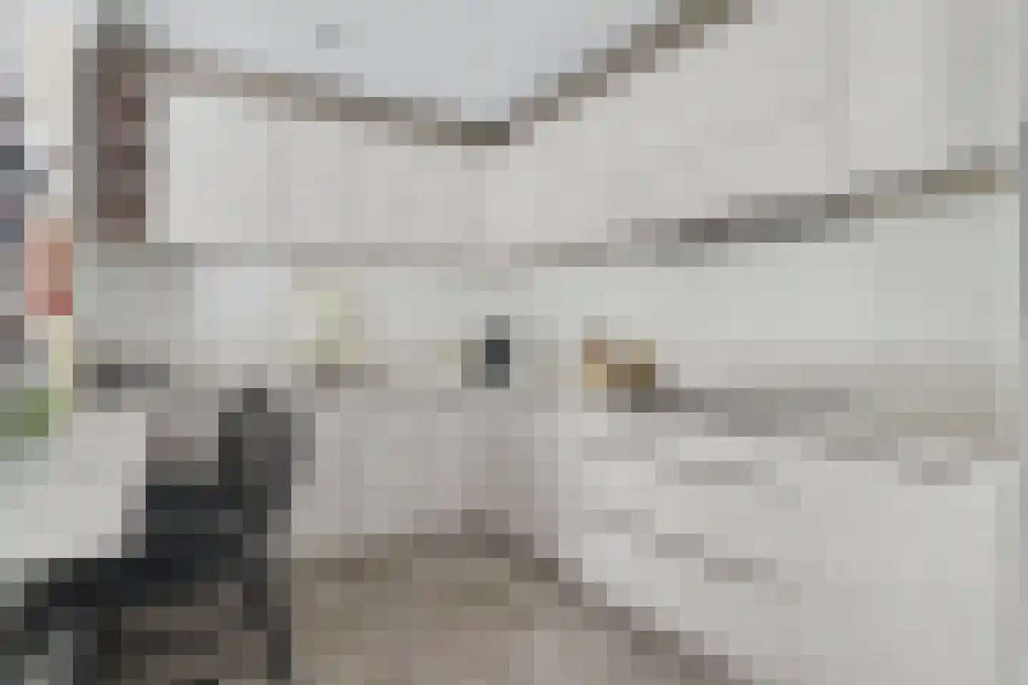 Berkenlaan 14 Putte thumbnail 12