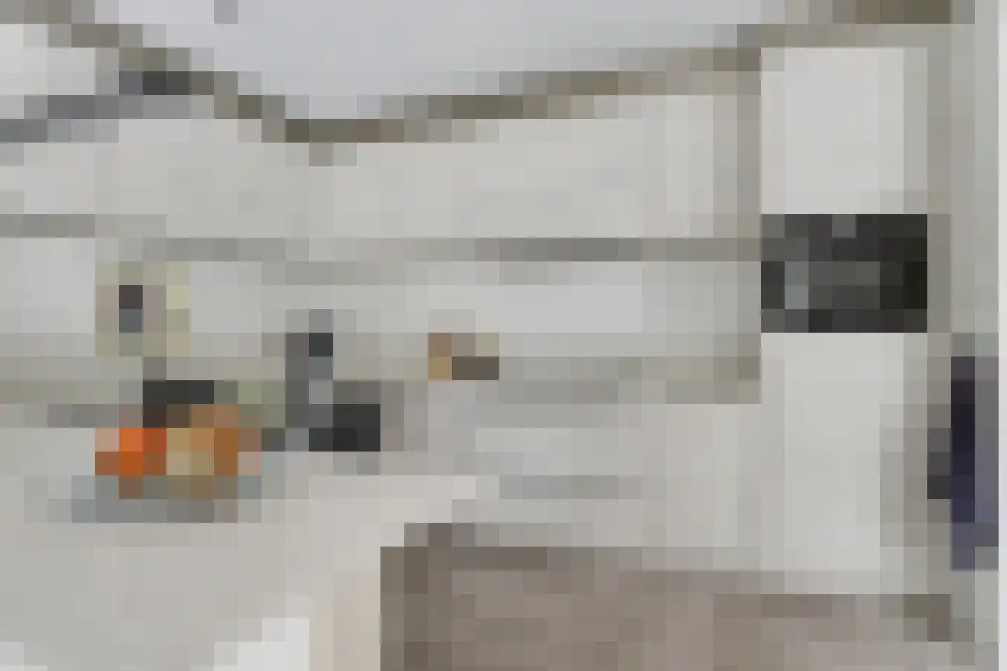 Berkenlaan 14 Putte thumbnail 13