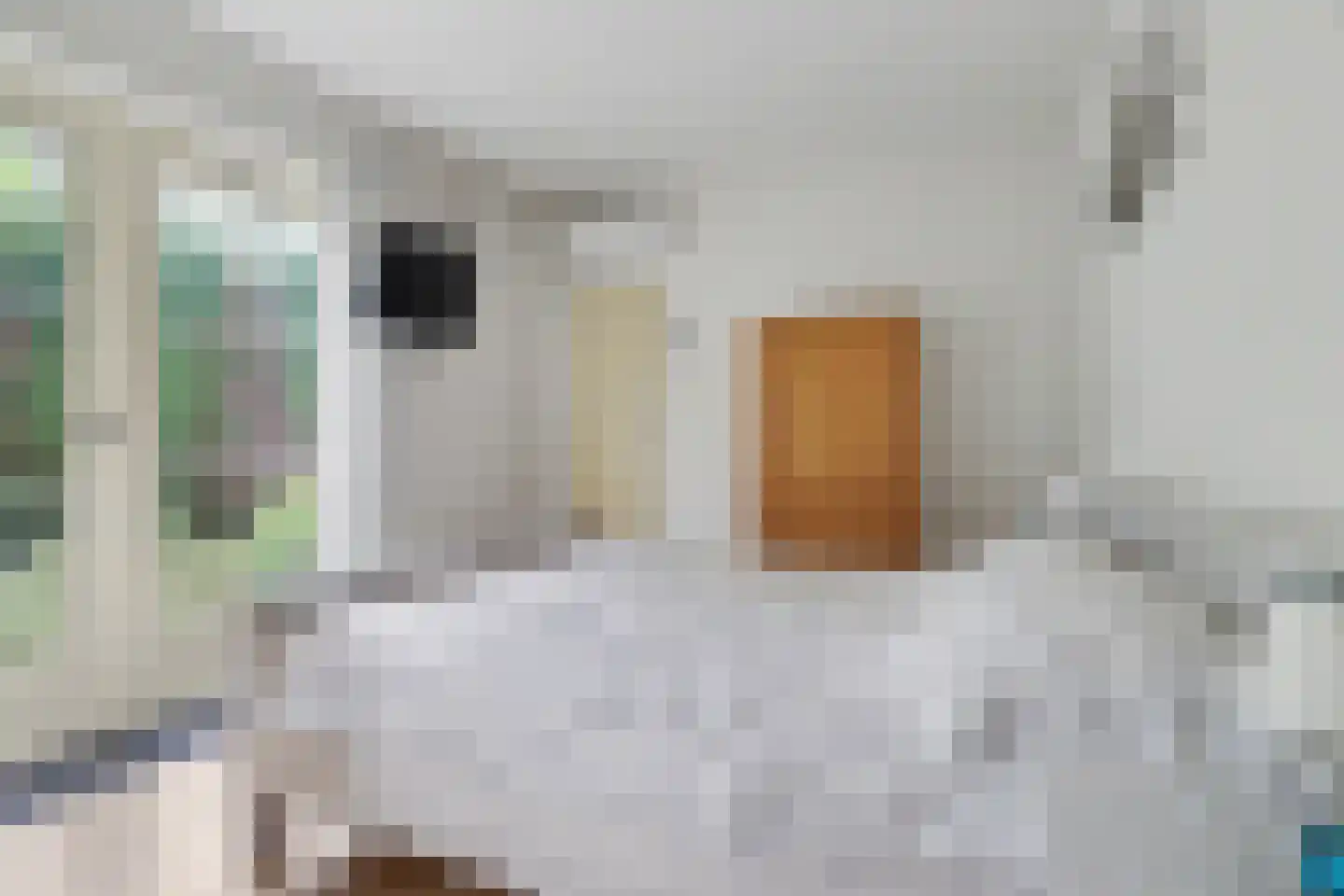Berkenlaan 14 Putte thumbnail 16