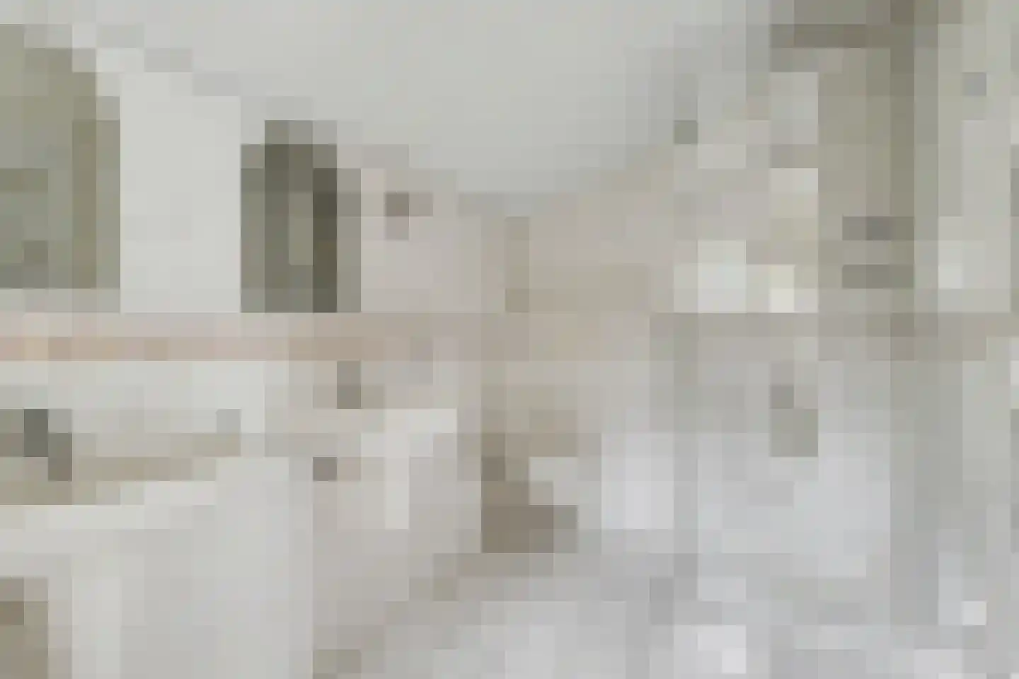 Berkenlaan 14 Putte thumbnail 19