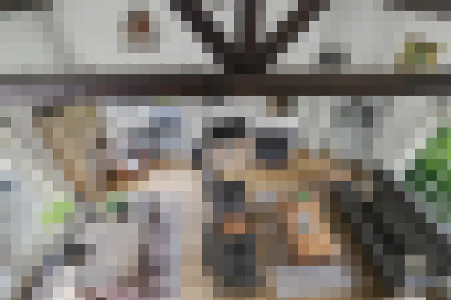 Berkenlaan 14 Putte thumbnail 20