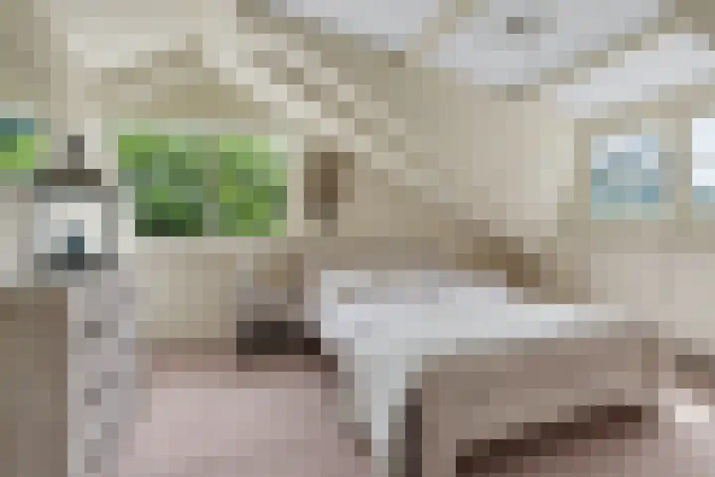 Berkenlaan 14 Putte thumbnail 22