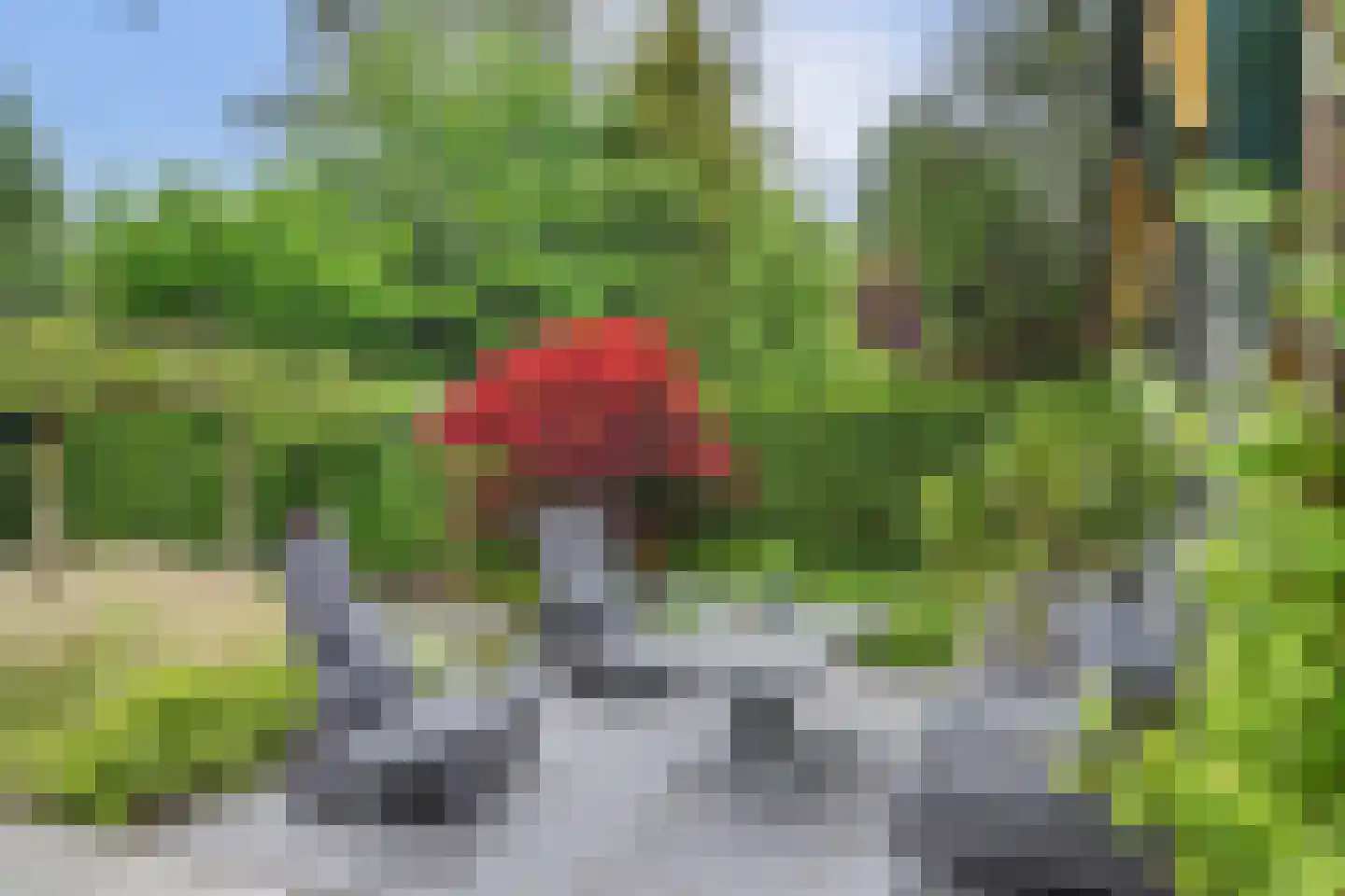 Berkenlaan 14 Putte thumbnail 28