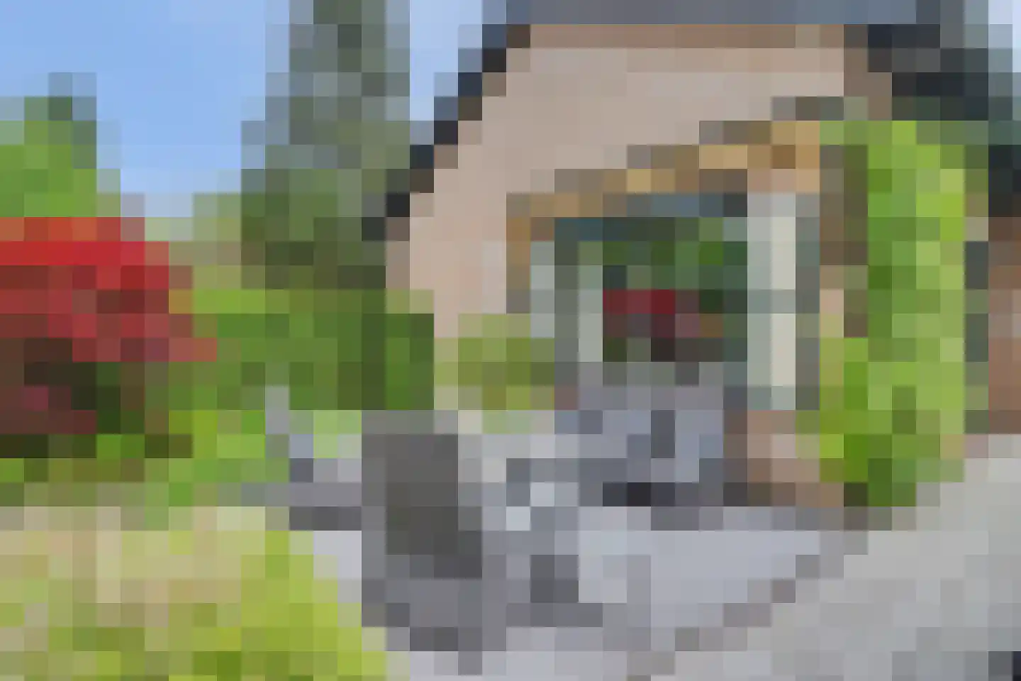Berkenlaan 14 Putte thumbnail 29