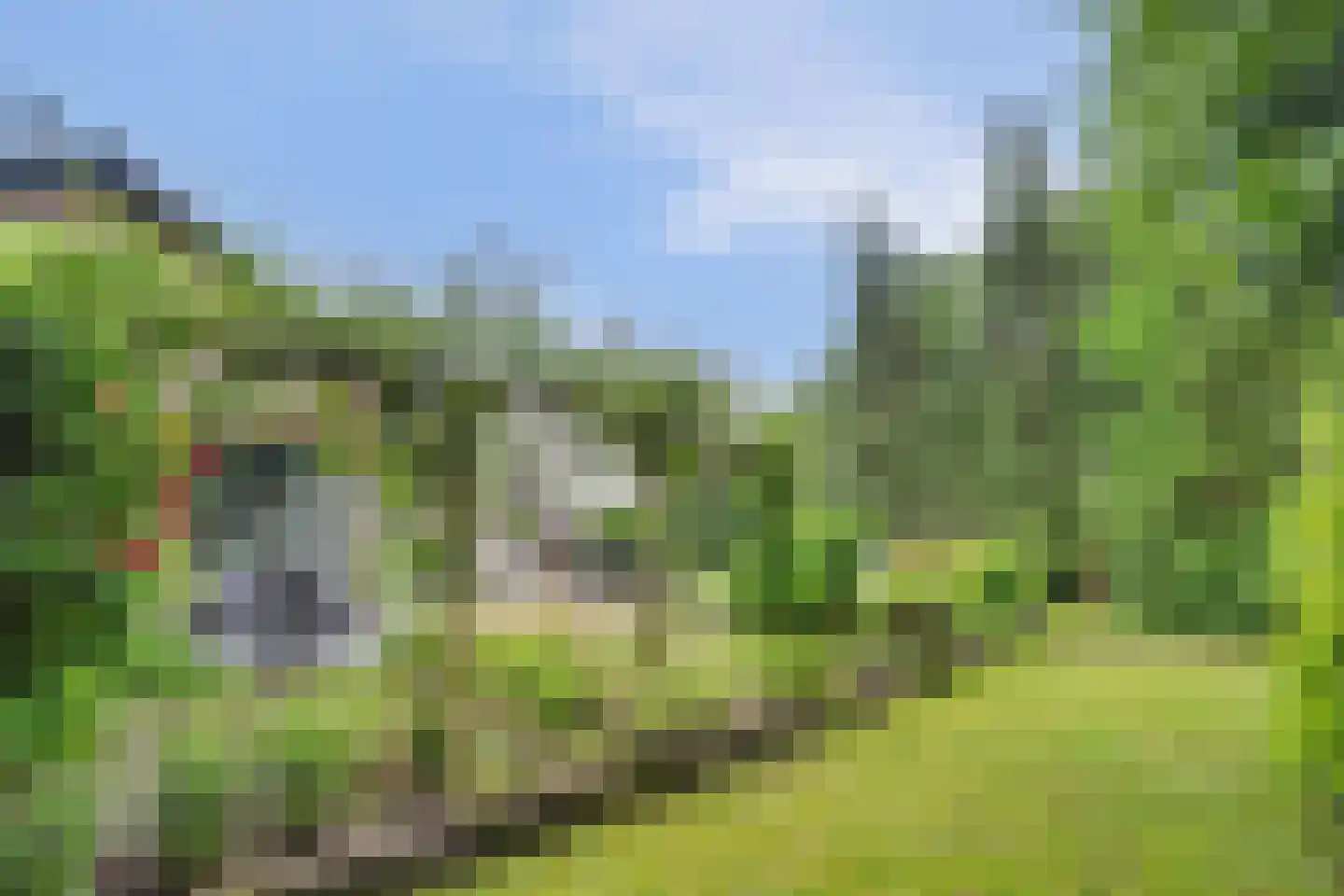 Berkenlaan 14 Putte thumbnail 34