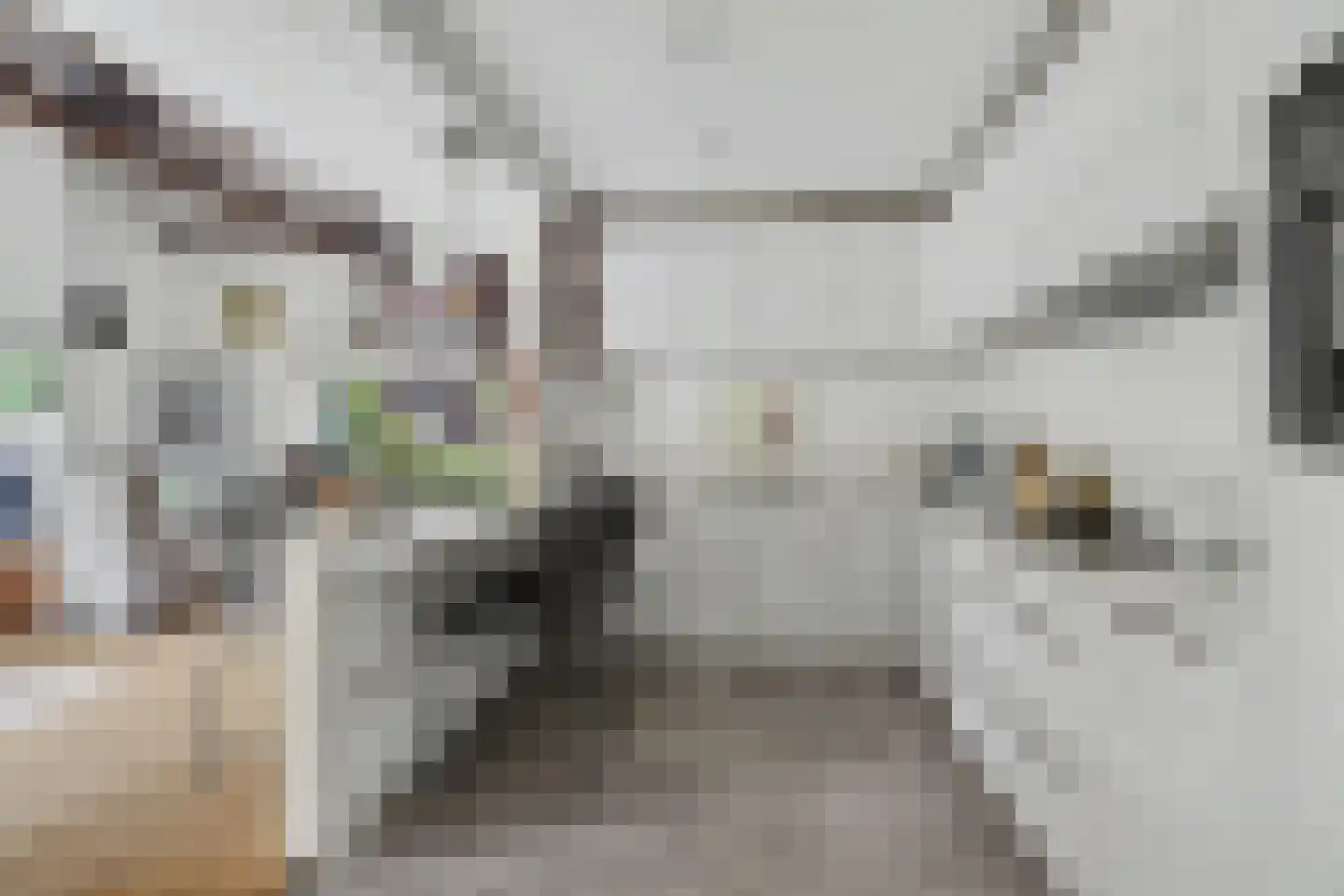 Berkenlaan 14 Putte thumbnail 4