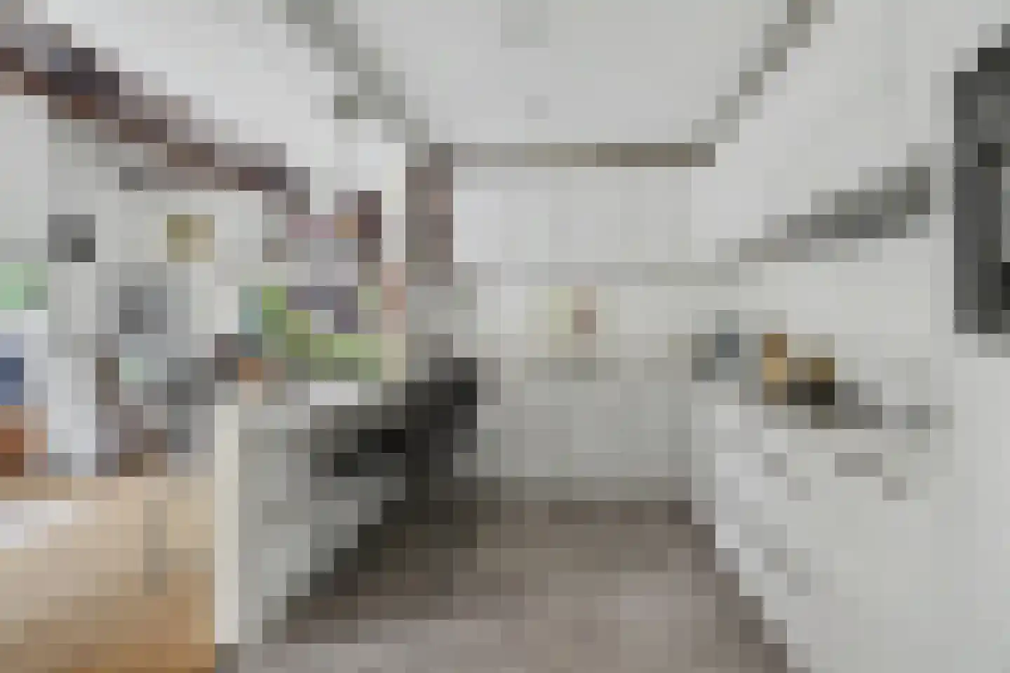 Berkenlaan 14 Putte thumbnail 4