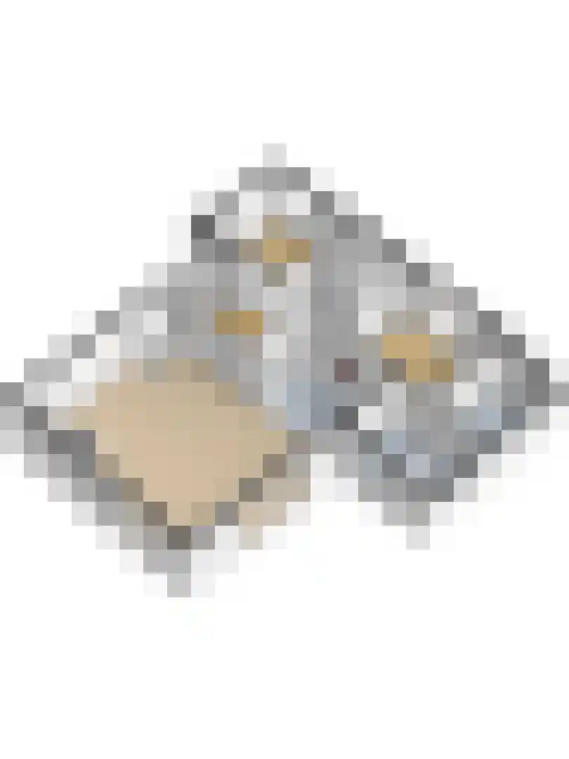 Berkenlaan 14 Putte thumbnail 40
