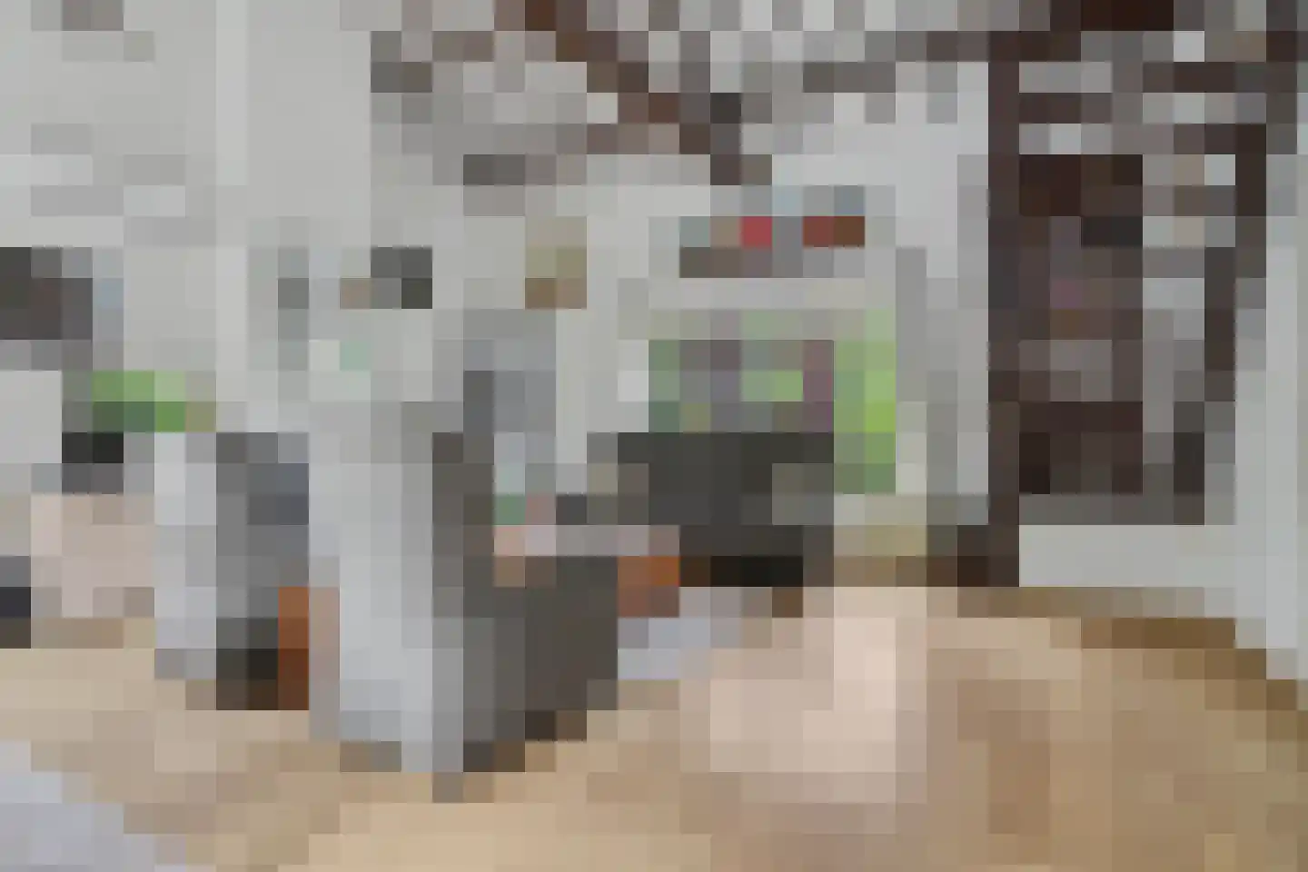 Berkenlaan 14 Putte thumbnail 5