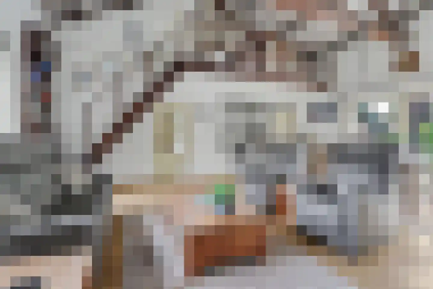 Berkenlaan 14 Putte thumbnail 7