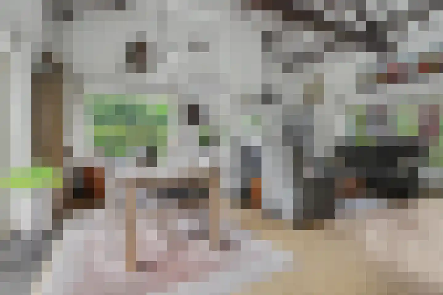Berkenlaan 14 Putte thumbnail 9