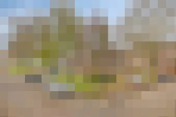 Berkenlaan 145 Zutphen thumbnail 24