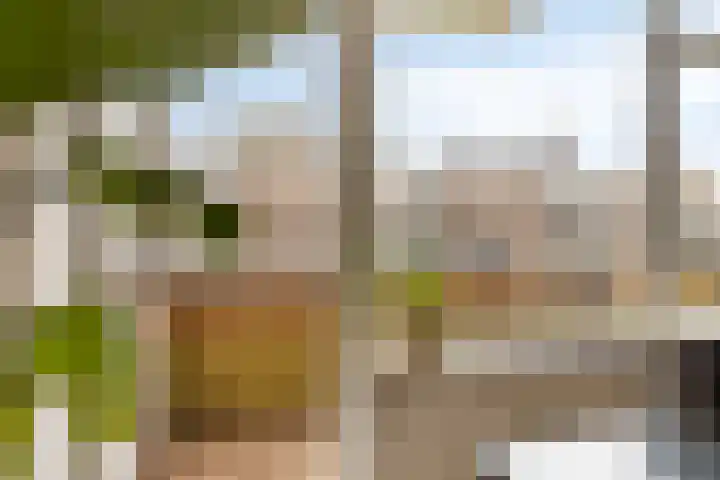 Berkenlaan 145 Zutphen thumbnail 6