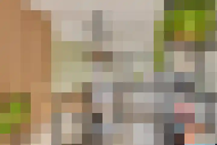 Berkenlaan 145 Zutphen thumbnail 8