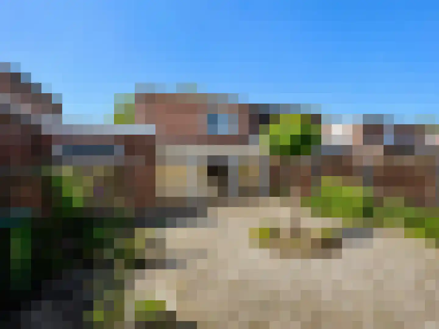 Berkenlaan 15 Bunde thumbnail 5