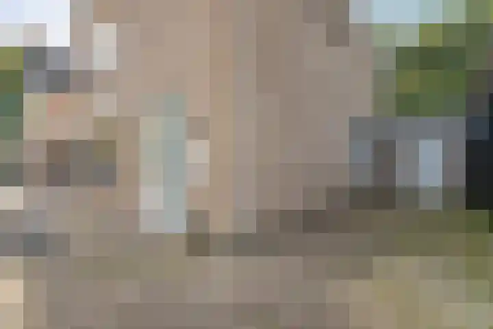 Berkenlaan 15 Hardenberg thumbnail 10