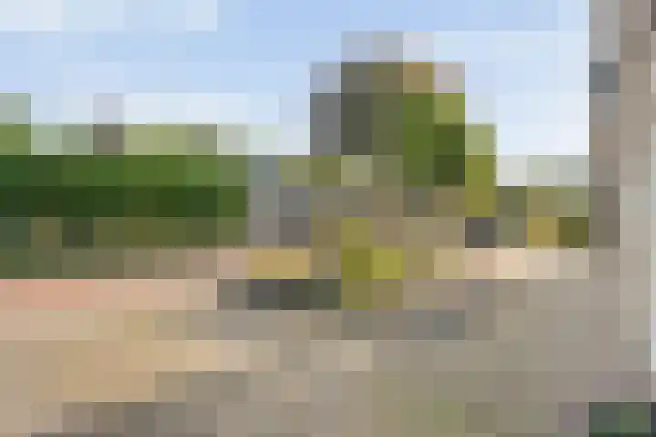 Berkenlaan 15 Hardenberg thumbnail 11