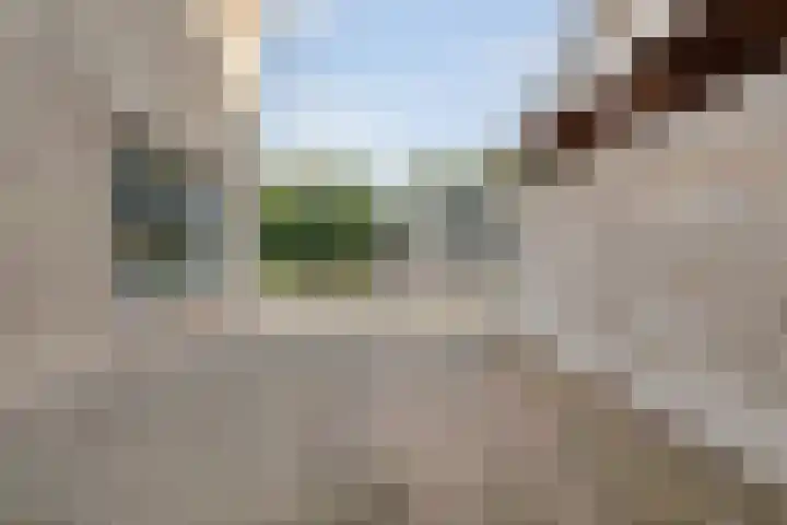 Berkenlaan 15 Hardenberg thumbnail 12