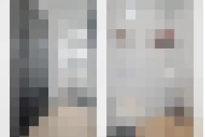 Berkenlaan 15 Hardenberg thumbnail 14