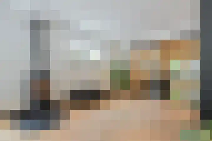 Berkenlaan 15 Hardenberg thumbnail 17