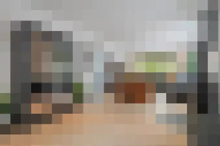 Berkenlaan 15 Hardenberg thumbnail 18