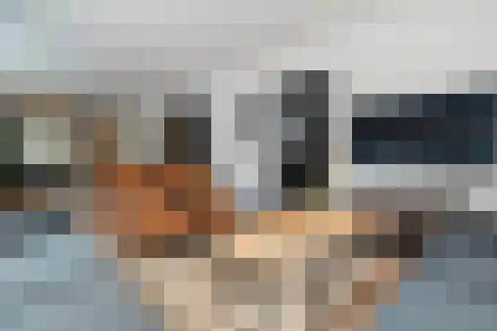Berkenlaan 15 Hardenberg thumbnail 21